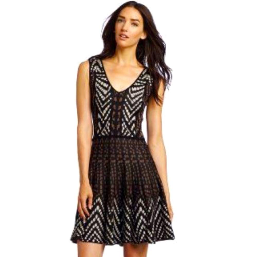 BCBGMAXAZRIA Nela Silk Sleeveless Sweater Fit And Flare Dress